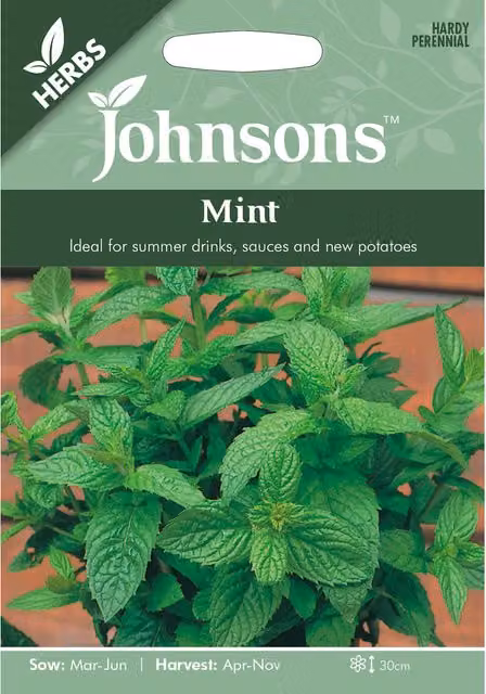 Johnsons Mint Herb Seeds for Spring and Summer Planting