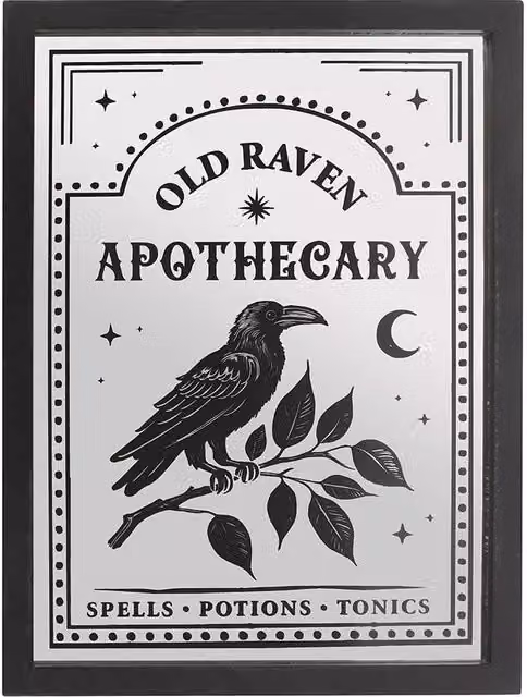 Something Different Old Raven Apothecary Mirrored Wall Art in Black