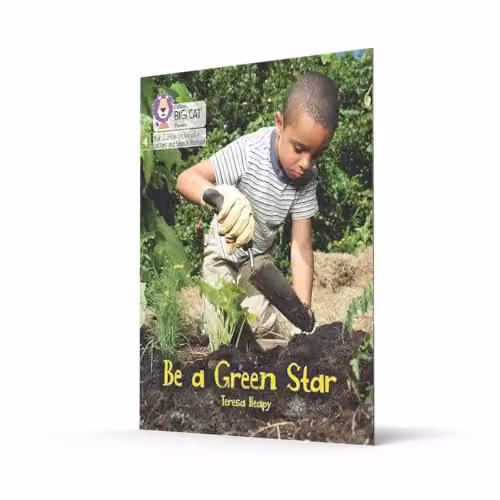 Collins Be a Green Star: Phase 4 Set 2 Stretch and Challenge Big Cat Phonics for Little Wandle Letters and Sounds Revised Multicolour Paper Book – 2