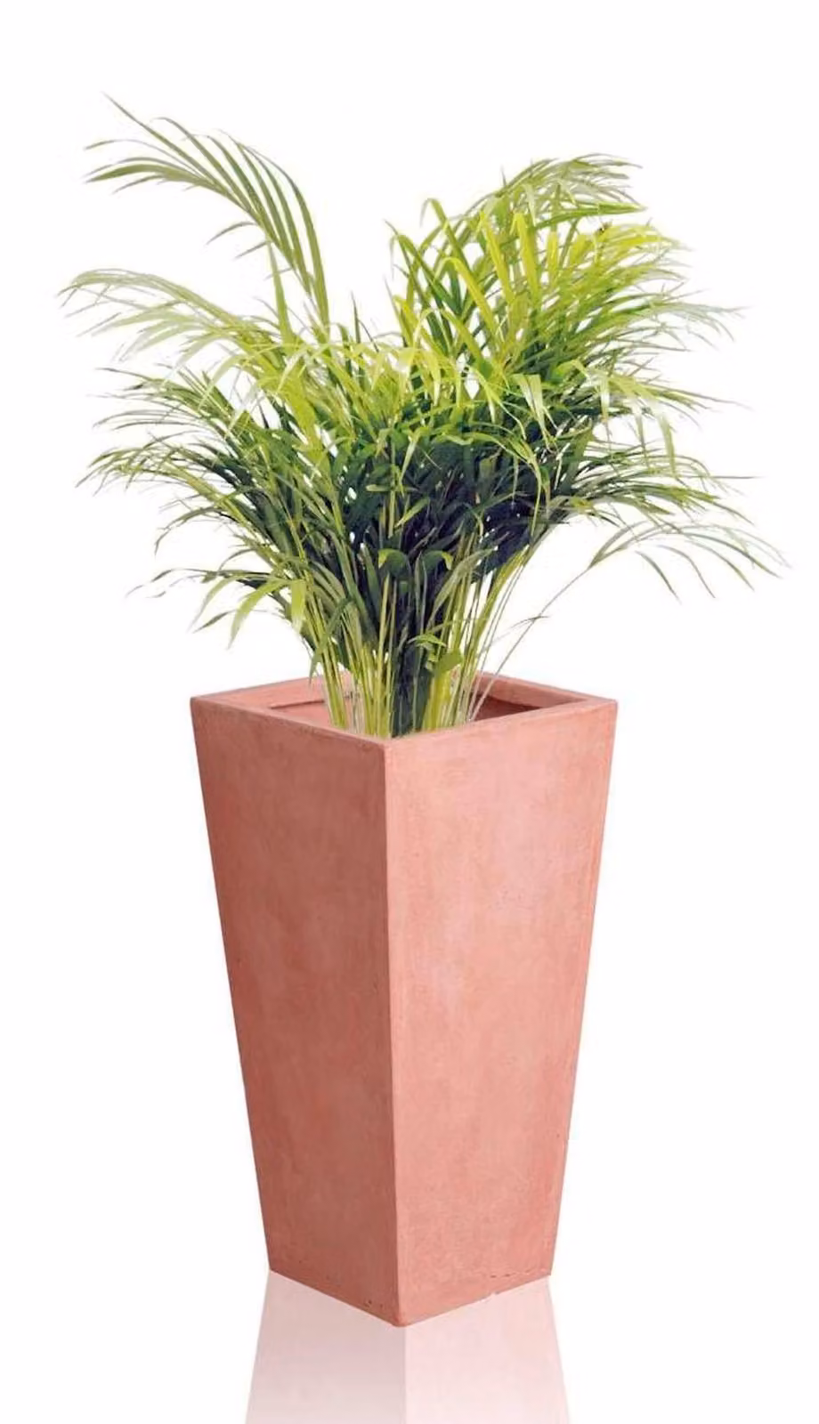 Primrose Terracotta Fibrecotta Tall Flared Square Garden Planter, H 65 cm x W 32 cm x D 32 cm – 2
