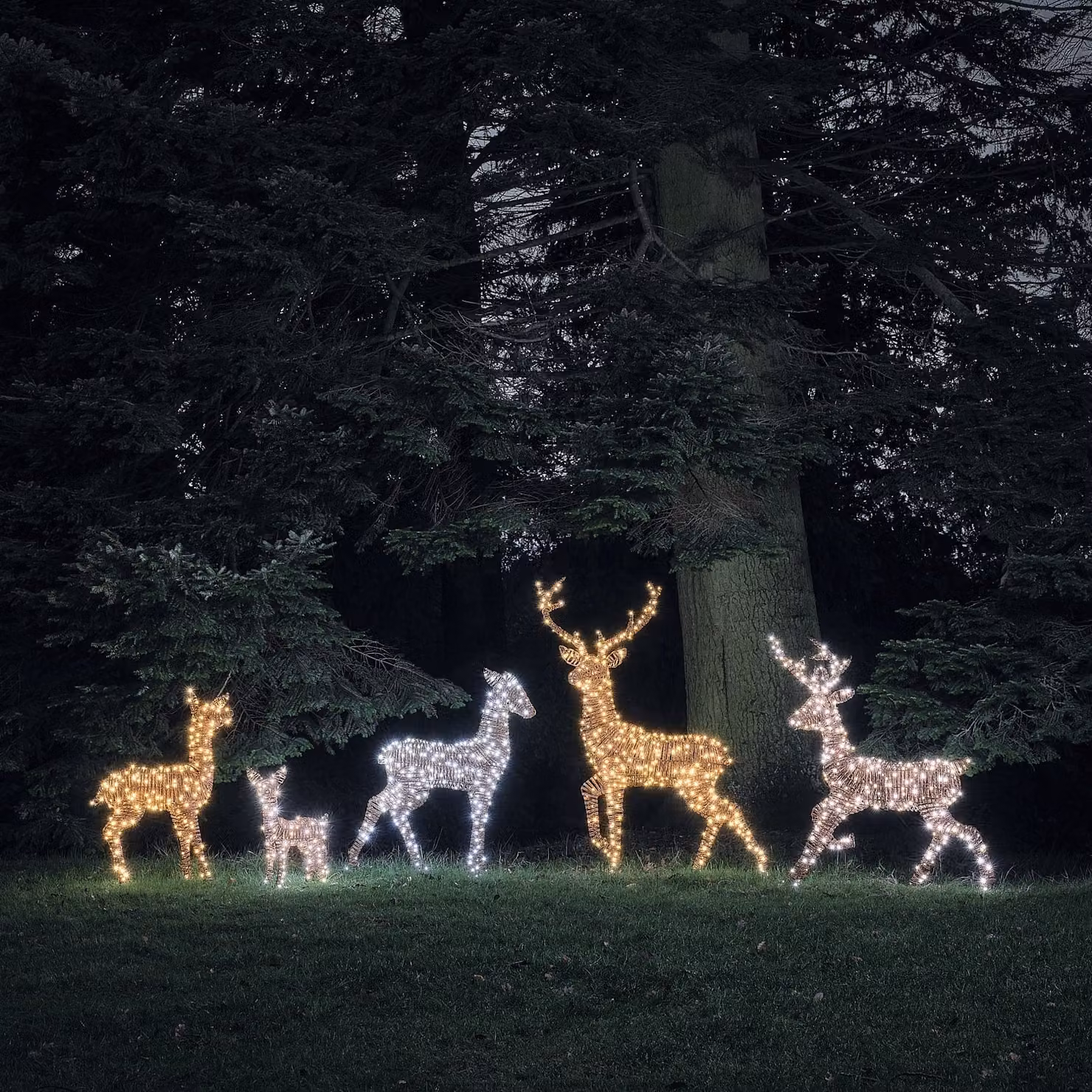 Set of 5 Pateley Dual LED Light Up Reindeer Family in Brown Rattan