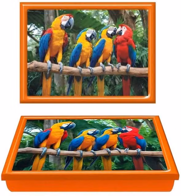 PAWNORA Parrots Cushioned Lap Tray with Bean Bag Base in Orange, W: 44.0 cm, D: 33.0 cm, H: 6.0 cm