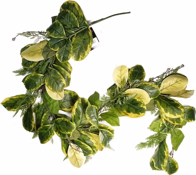 Artificial Hanging Golden Ficus Plant with Green Foliage