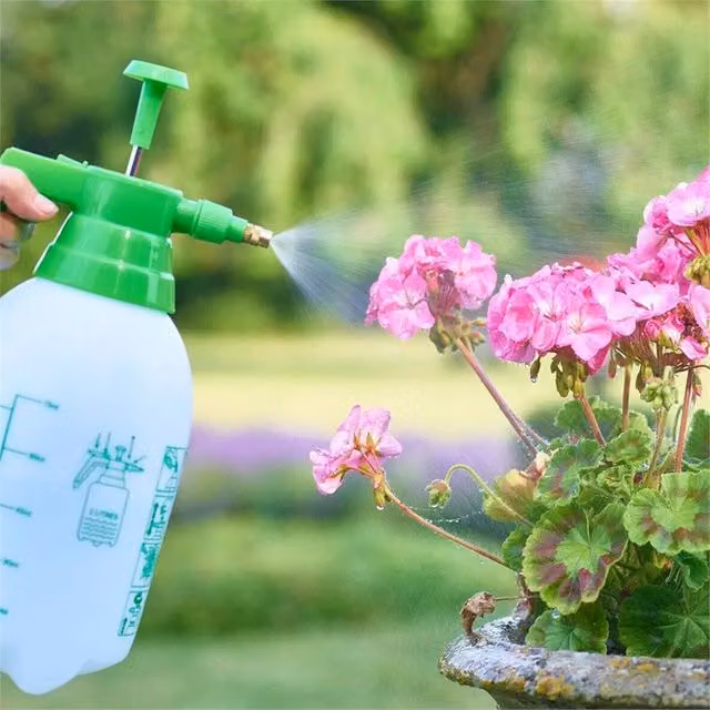 SPETLEK Manual Garden Pressure Sprayer, 8L, Green