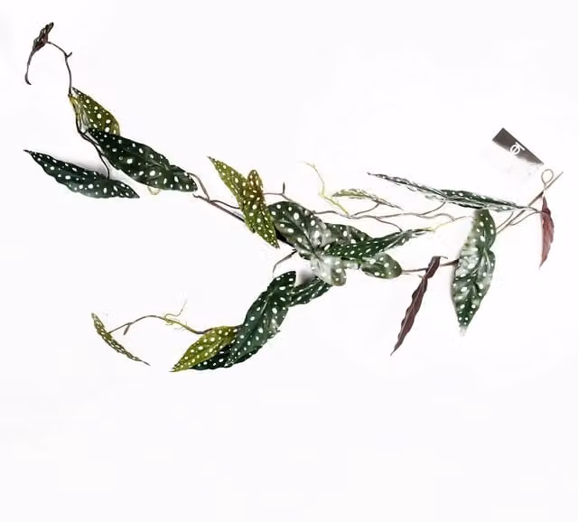 Realistic Artificial Hanging Begonia Maculata Spotted Plant in Green