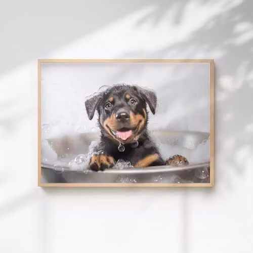60 Second Makeover Rottweiler In The Bath Quirky Animal Print Paper Poster, A3