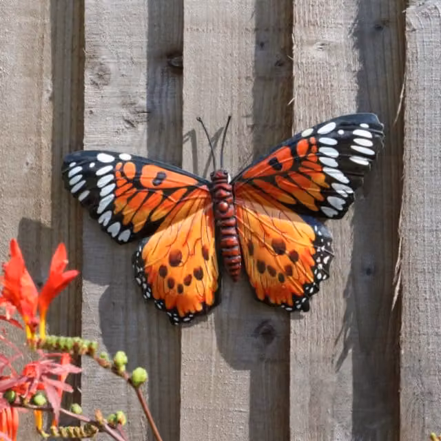 Betley Butterfly Metal Wall Decoration in Orange