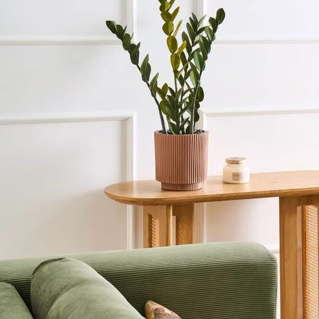 Wyld and Coco 76 cm Artificial Potted Zamiifolia Green and Black Indoor Decorative Plant