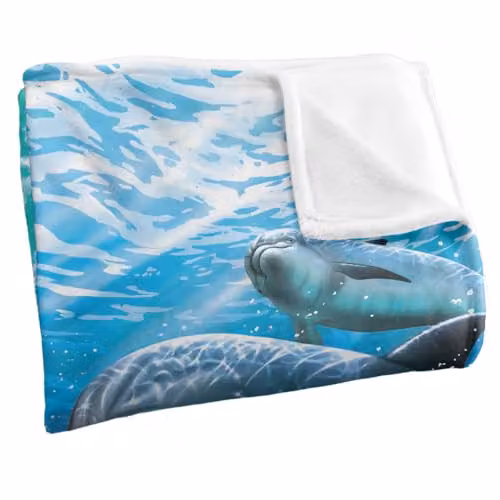 JQ Licensing Royce Mcclure Dolphin Travelers Super Soft Fleece Throw Blanket, Blue Multicolour, W: 91 cm, D: 147 cm – 3