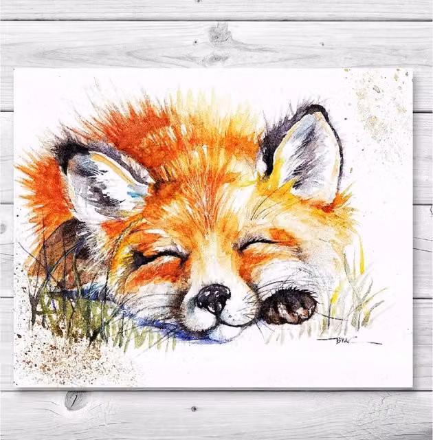 BebesArts Snoozing Fox Canvas Painting Reproduction in Brown and Multicolour, W: 20.32 cm, H: 30.48 cm