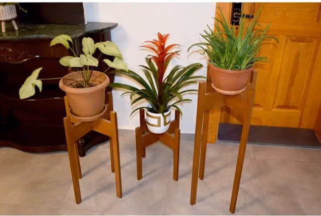 Decorotika Florny 3 Piece Modern Lacquered Beech Wood Plant Stand in Brown