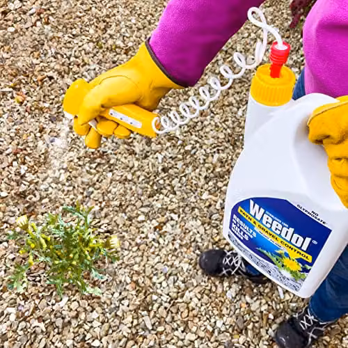 Weedol Path and Gravel Weedkiller with Manual Sprayer, Glyphosate Free, 3 l – 4