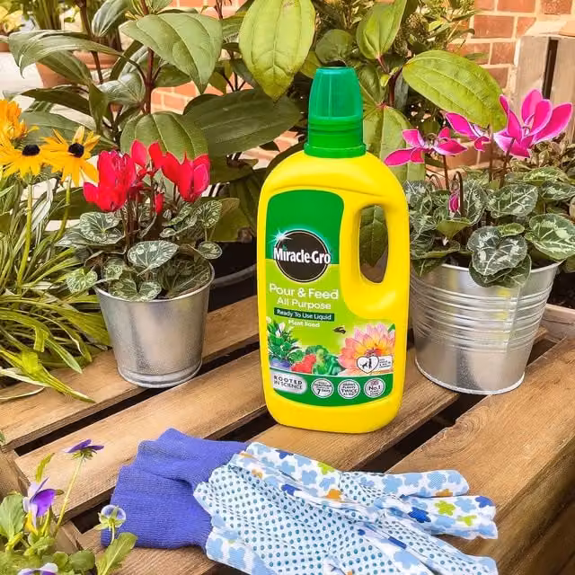 Miracle-Gro Pour and Feed All Purpose Liquid Plant Food, 1 l