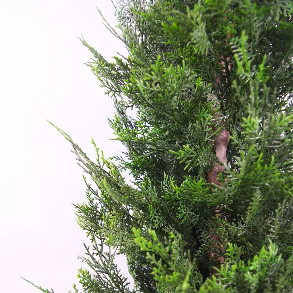 Botanik Leaf Pair of Green Artificial Cypress Topiary Trees, Height: 120 cm – 3
