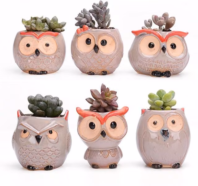 Simpa 6-Piece Comic Owl Ceramic Plant Pots with Wood Bases in Multicolour and Terracotta, H 7.3 cm x Dia 7.3 cm