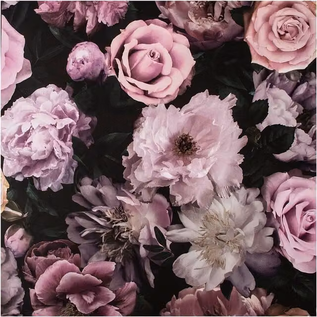 Fresco Pandor Drama Floral Wallpaper in Pink and Purple, Width: 52 cm