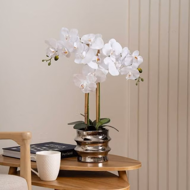 Scottish Everlastings Ltd White Orchid in a Silver Ceramic Pot, Height: 54 cm – 1