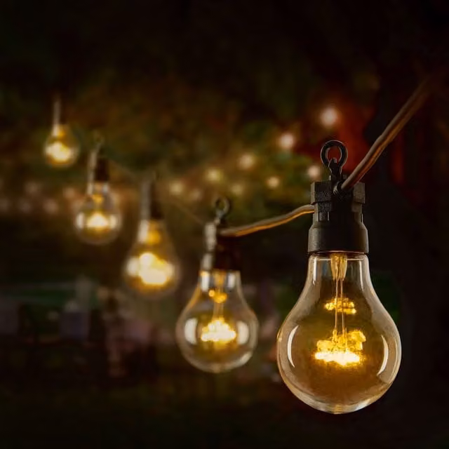 Premier 10 Bulb Warm White LED Vintage Festoon Party String Lights in Black and Transparent