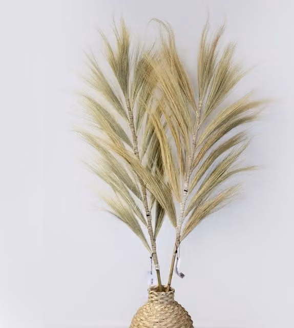 KDMK Multicolour Rayung Grass Pampas Dried Tropical Decor in Yellow and Beige