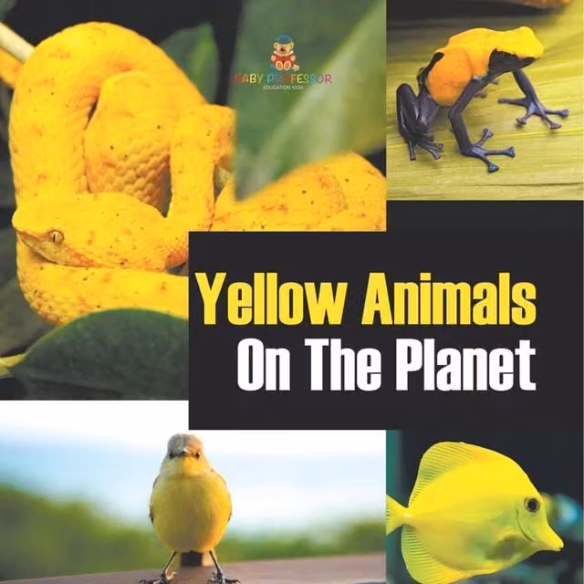 Baby Professor Yellow Animals On The Planet Paperback Book in Multicolour