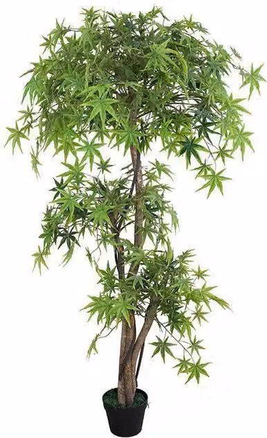 Leaf Design UK Green Artificial Japanese Maple Tree, Height: 150 cm