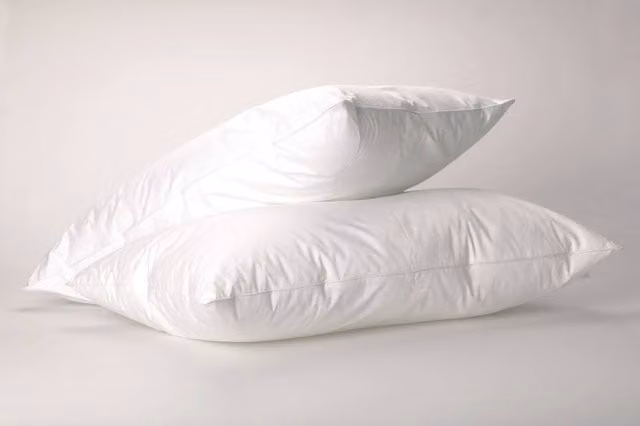 The Linen Consultancy 5 Star Hotel Concept Premium Goose Feather and Down Pillow, White