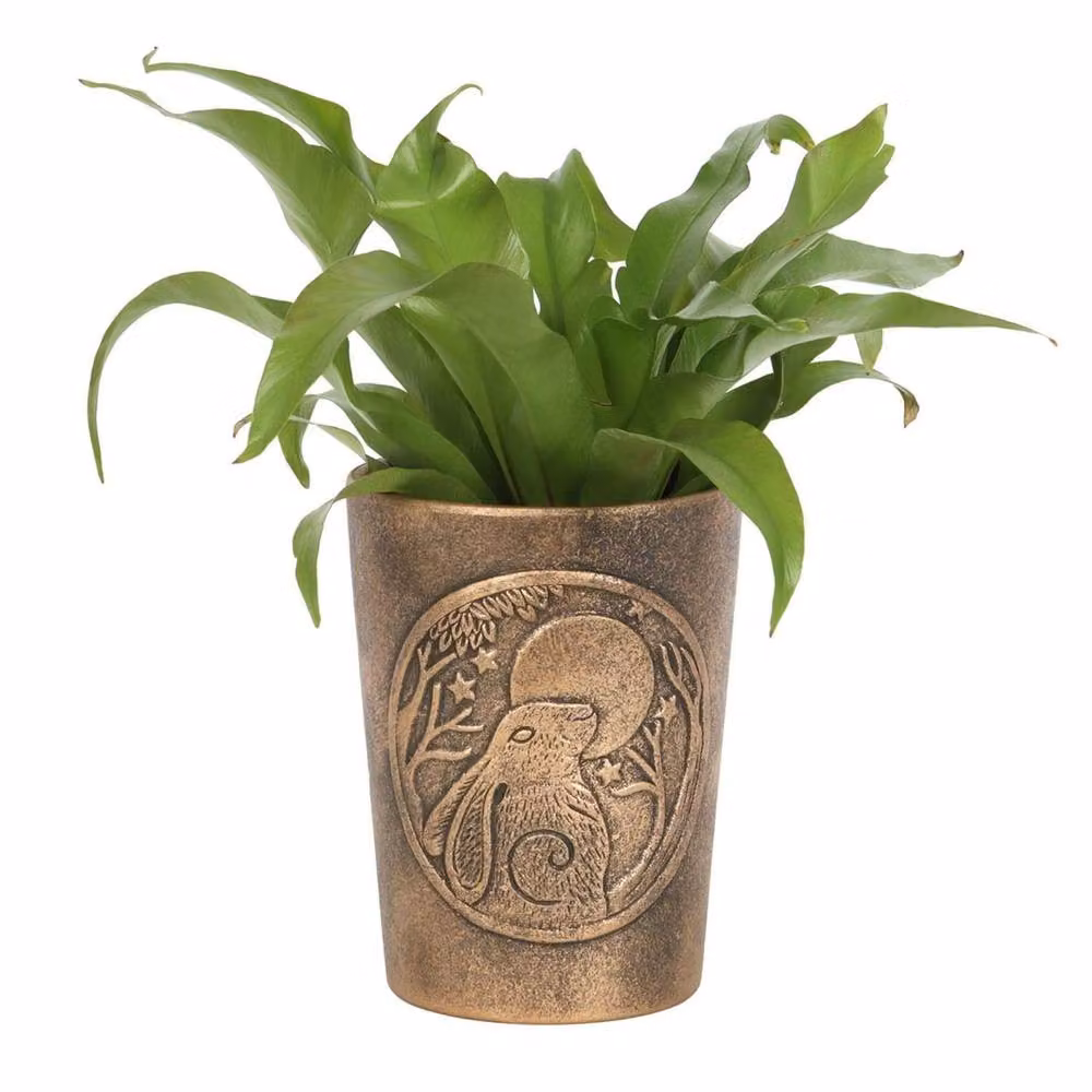 Lisa Parker Moon Gazing Hare Terracotta Flower Pot in Bronze, W/D/H: 16.0 x 16.0 x 12.5 cm – 2