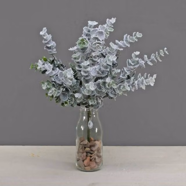 KDMD Eucalyptus Bush in Snow Green