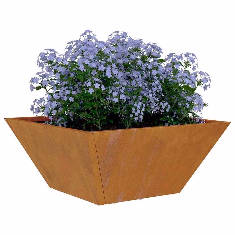 Berkfield Home Garden Bowl Planter in Grey Weathering Steel, W/D/H: 35 x 35 x 15 cm – 2