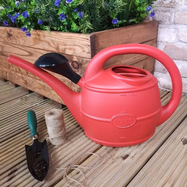 Ward 5L Garden Watering Can with Rose in Red
