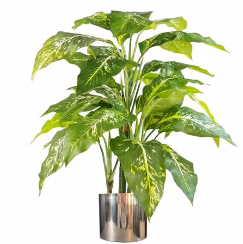 Leaf Design UK 100cm Large Fox's Aglaonema Spotted Evergreen Artificial Tree in Green and Silver – 1