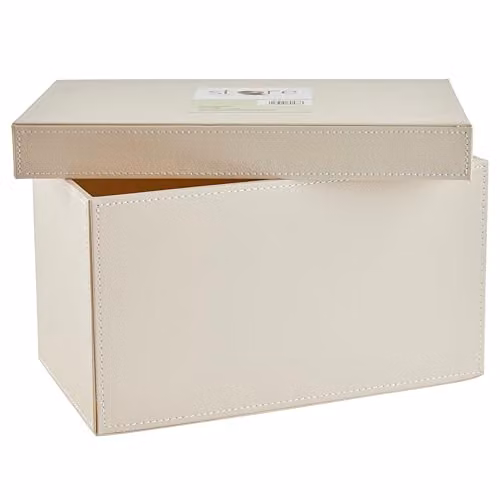 Orsina Elegant Beige Faux Leather CD Storage Box with Lid W: 30.0 cm, D: 17.0 cm, H: 6.8 cm – 1