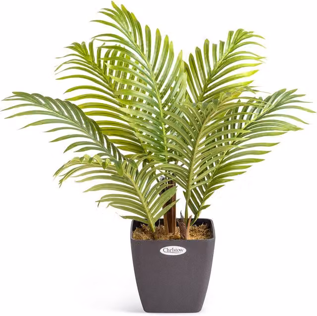 Christow Artificial Areca Palm Tree, Green, Height: 60 cm