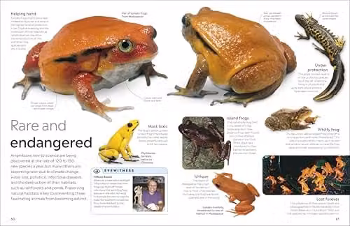 Eyewitness Amphibian Multicolour Paper Book – 3