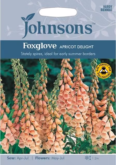 Johnsons Foxglove Apricot Delight Orange Ornamental Flower Seeds