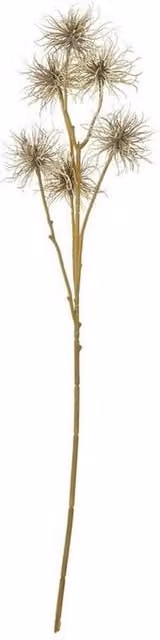 Lemon Pavilion Furniture and Decor Xanthium Spray Single Stem Flower in Brown, Height: 81 cm