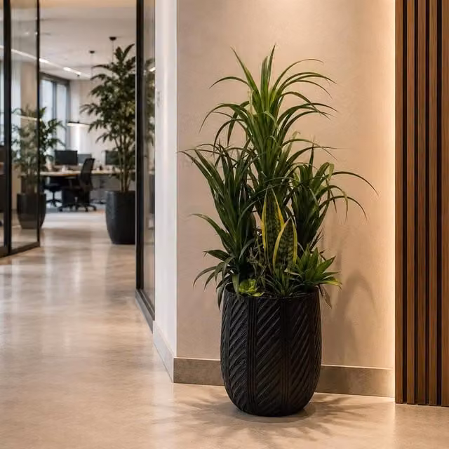Leaf Premium Artificial Green Yucca Plant in Concrete Pot, Height: 107 cm, Width: 70 cm, Depth: 70 cm – 1