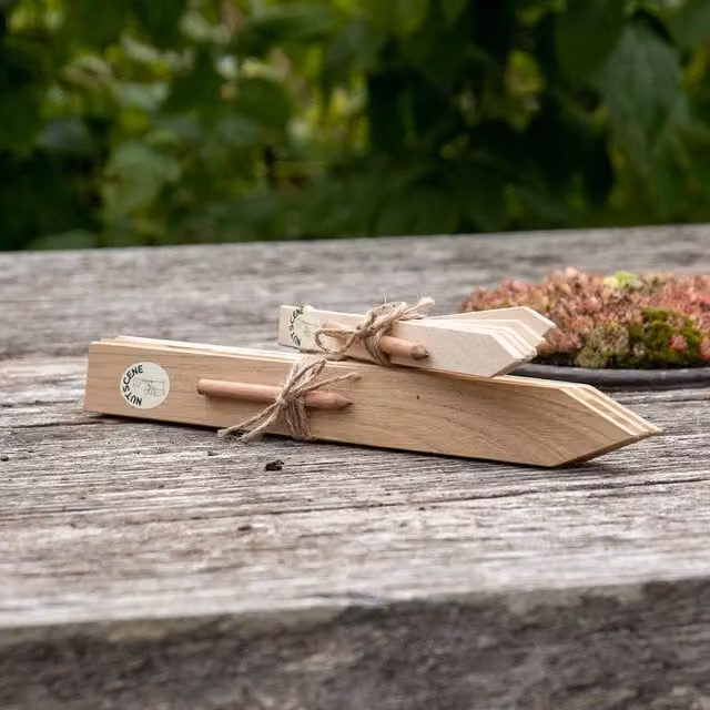 Nutscene White and Brown Wooden Plant Labels Set of 4 with Pencil