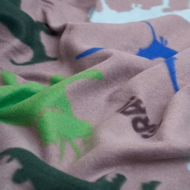 OHS Dinosaur Print Soft Fleece Blanket Throw for Children in Grey, W/D/H: 130 x 160 cm