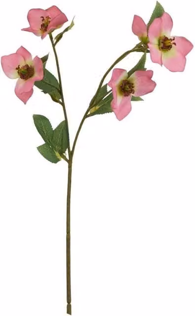 Lemon Pavilion Artificial Pink Variegated Hellebore Flower, 1 Stem, H47 cm