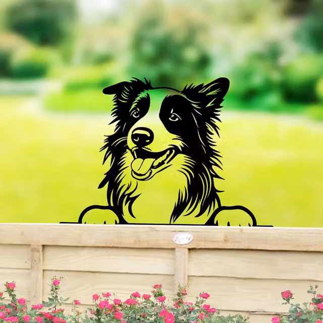 Betley Butterfly Peeking Dog Silhouette Fence Topper, Black Border Collie
