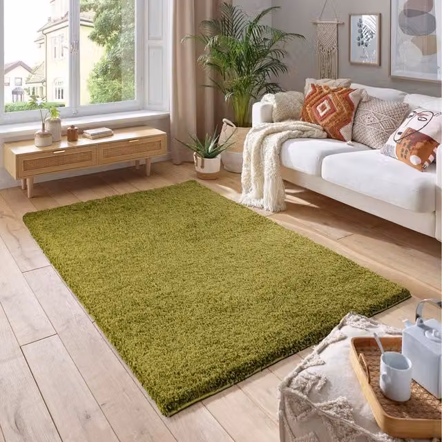 Smart Living Wholesale Ltd. Green Shaggy Area Rug, Rectangular, 290 cm
