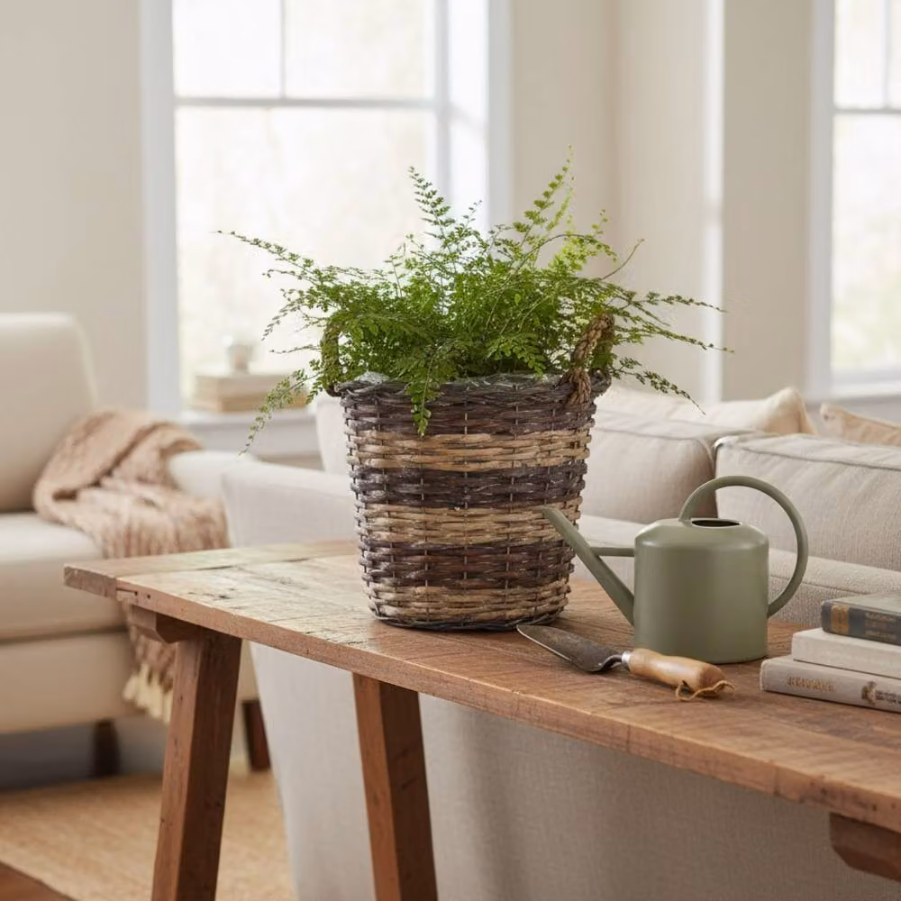 Four Candle Brown Willow Round Basket with Braided Handles and Plastic Lining, Diameter: 25 cm – 2