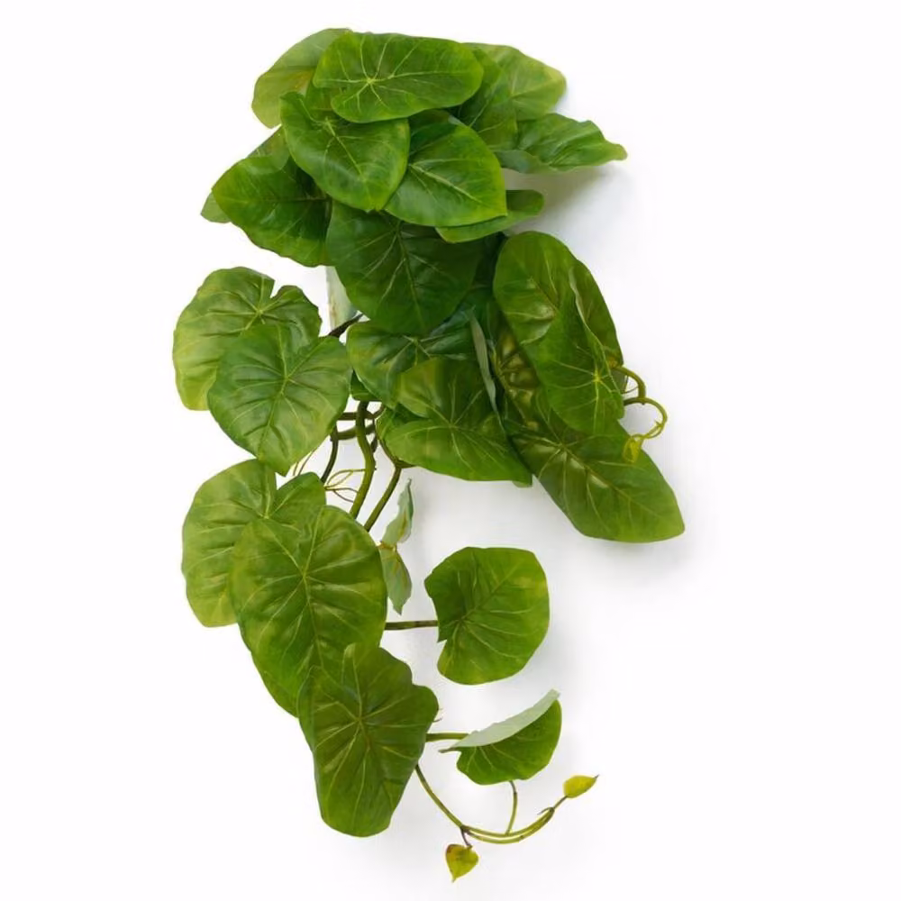 Botanik Leaf Premium Green Artificial Trailing Arrowhead Vine Hanging Plant – 2
