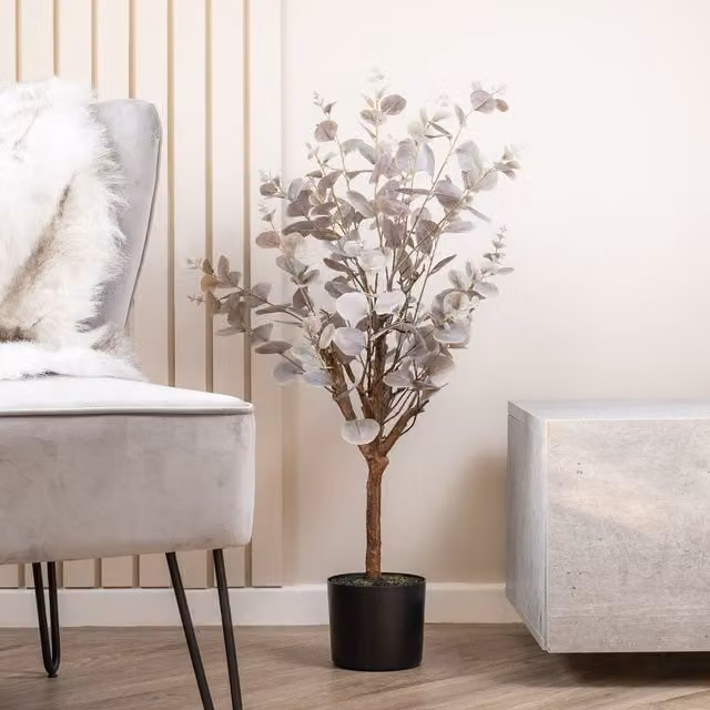 Scottish Everlastings Ltd Grey and Green Eucalyptus Tree, Height: 95 cm
