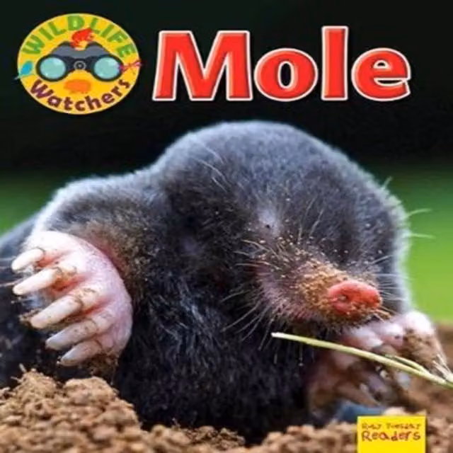 Ruth Owen Wildlife Watchers: Mole Paperback Book in Multicolour and Black