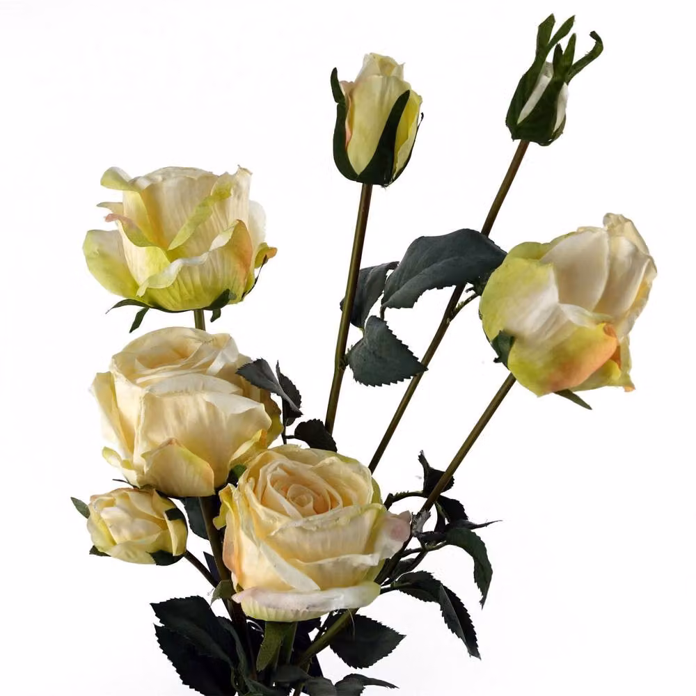 Botanik Cream Rose Artificial Flower Sprays with 24 Flowers and 18 Buds, Beige and White, H 60 cm x W 20 cm x D 20 cm – 4