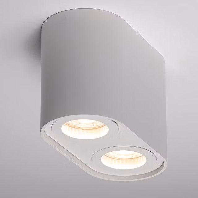 CGC Sansa Twin Round Cylinder Ceiling Down Spotlight in White