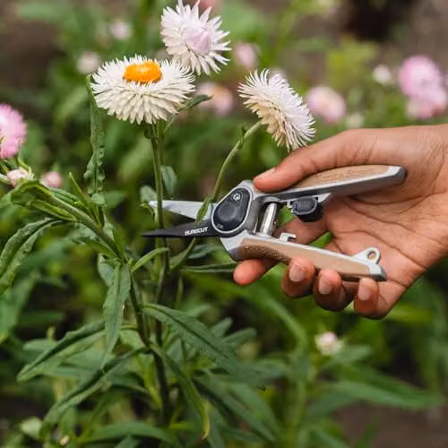 Kent & Stowe Garden Life Flower Snips in Grey – 3