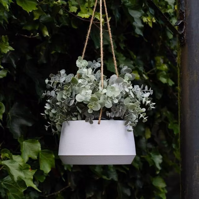 Scottish Everlastings Ltd Outdoor Hanging Eucalyptus in a Light Grey Round Pot, Green